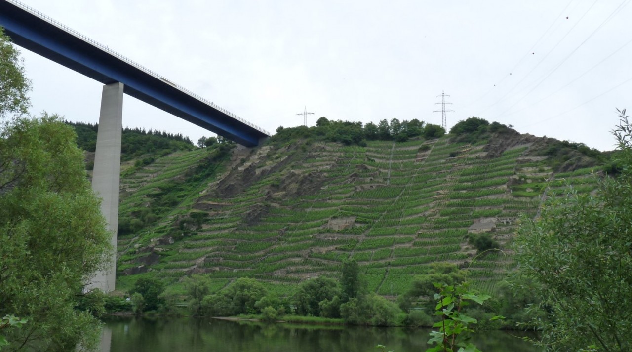 Moseltalbrücke