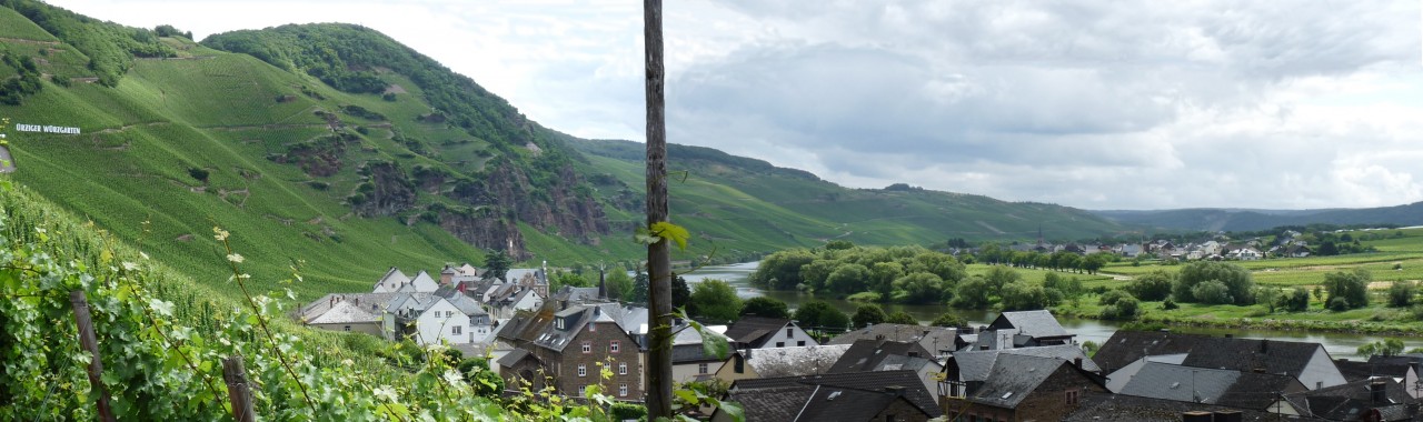 Urziger Panorama