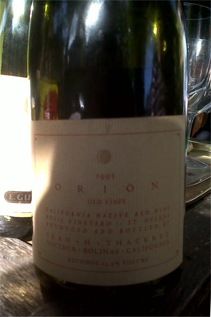 Orion 95